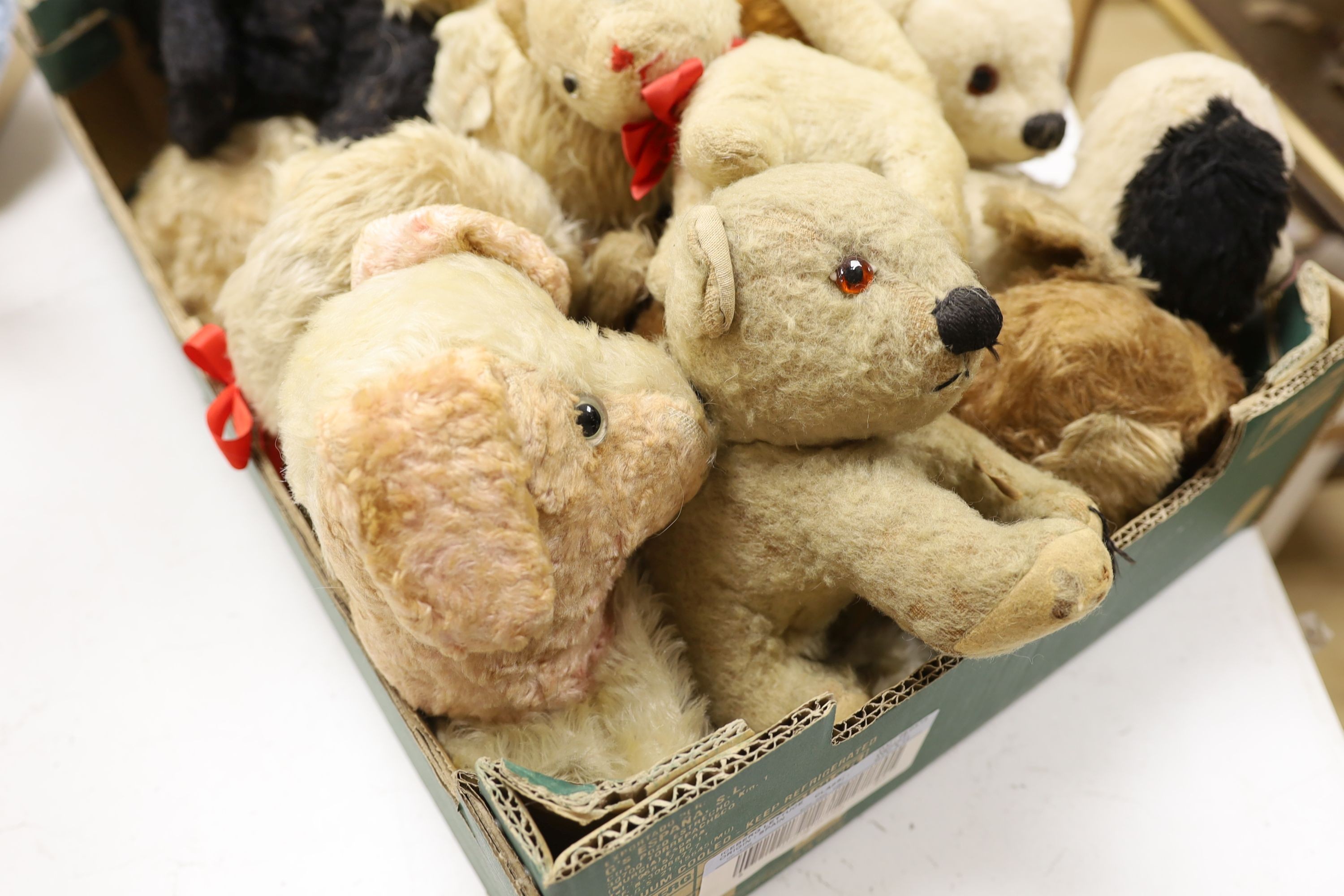 Dog Night Dress Cases Including chiltern with 7 Dogs And Other Animals.